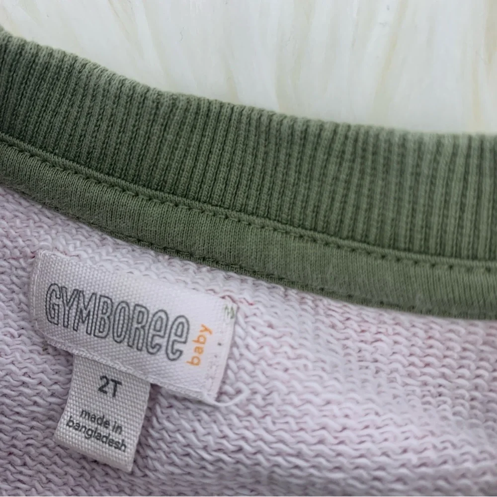 Gymboree sweatshirt bundle - 2T